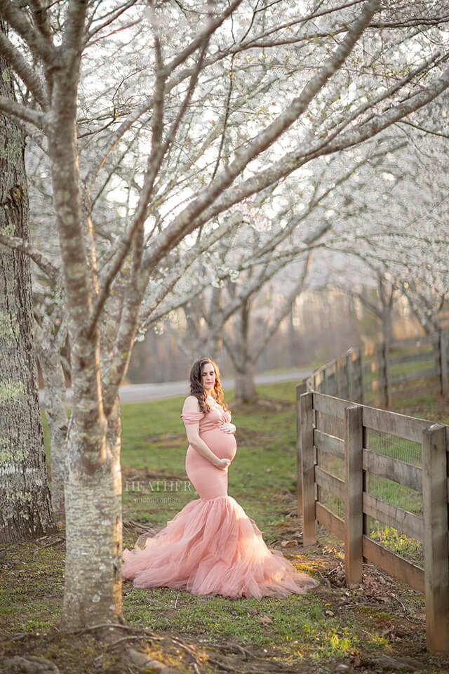 Pregnant Woman under Yoshino Cherry Blossoms