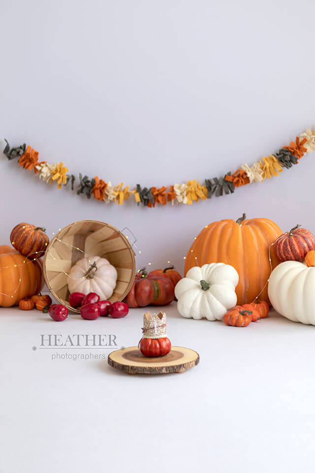 A festive backdrop featuring a variety of pumpkins and fall foliage