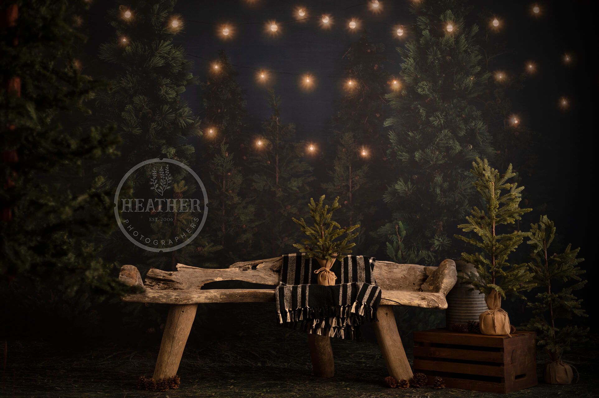 Capture the essence of Christmas tree selection with a tree farm backdrop